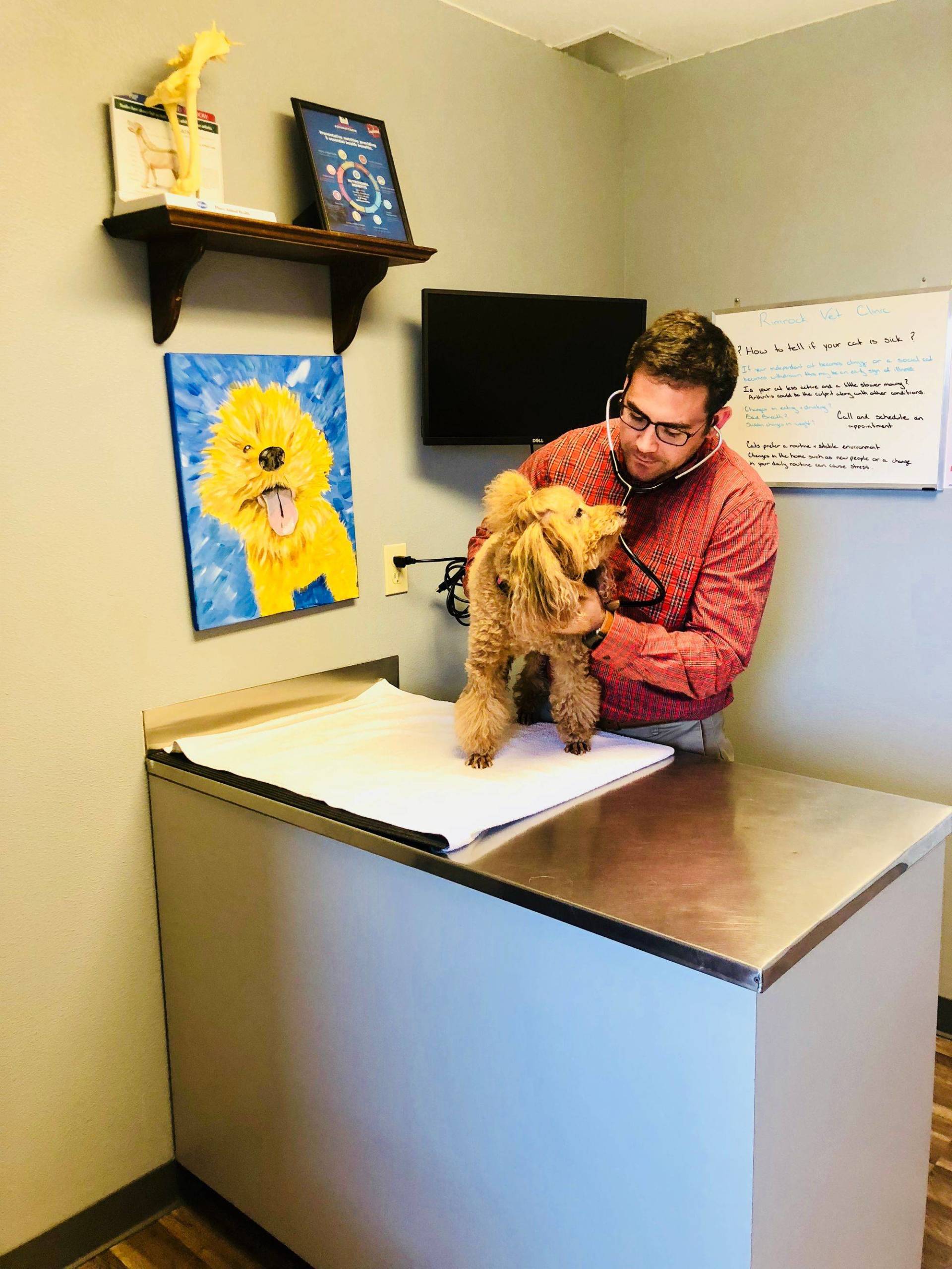 Animal Hospital | Redmond, OR | Rimrock Veterinary Clinic