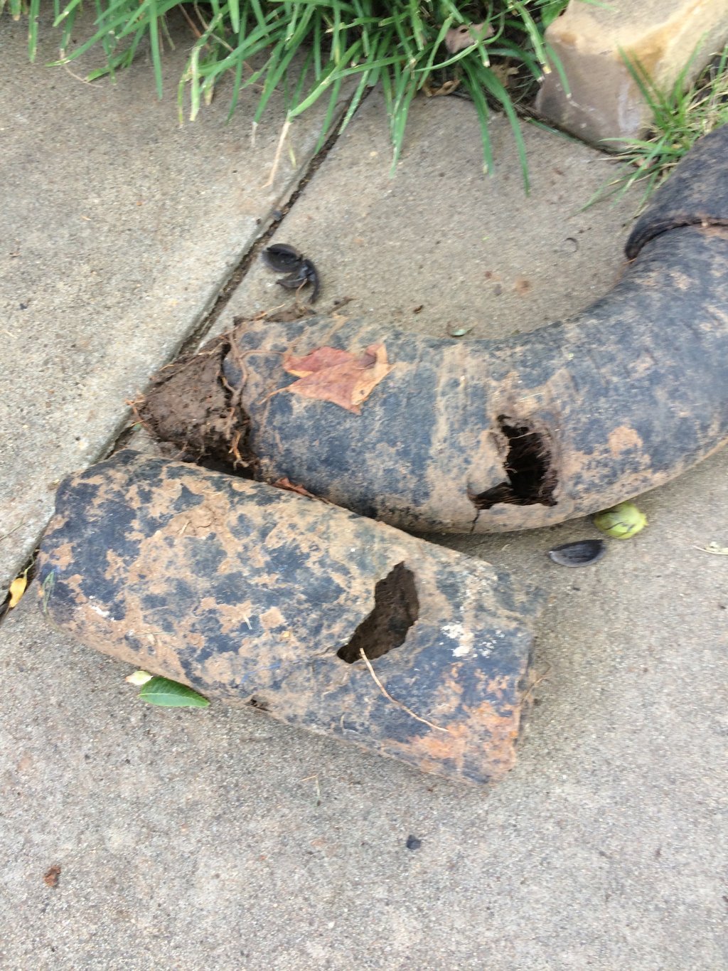 Camera & video drain inspections