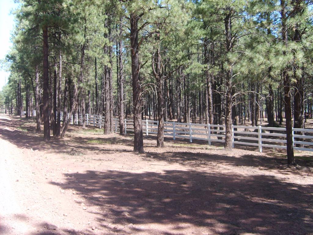 gallerylink Flagstaff, AZ Alamo Fence Co