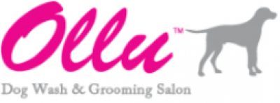 how to train your dog to come