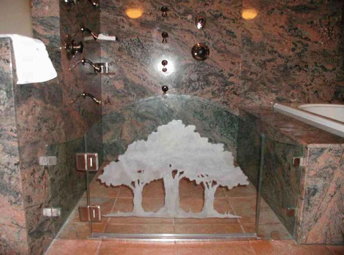 Custom Showers Salt Lake City, UT Beehive Glass