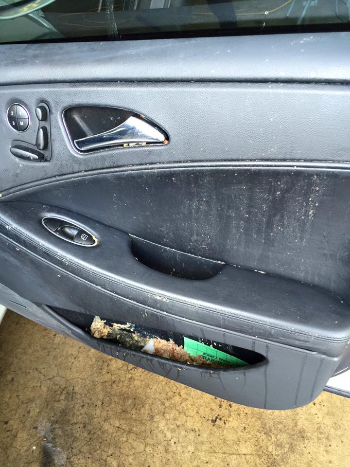 Our Work Schererville, IN Izzy Auto Detailing