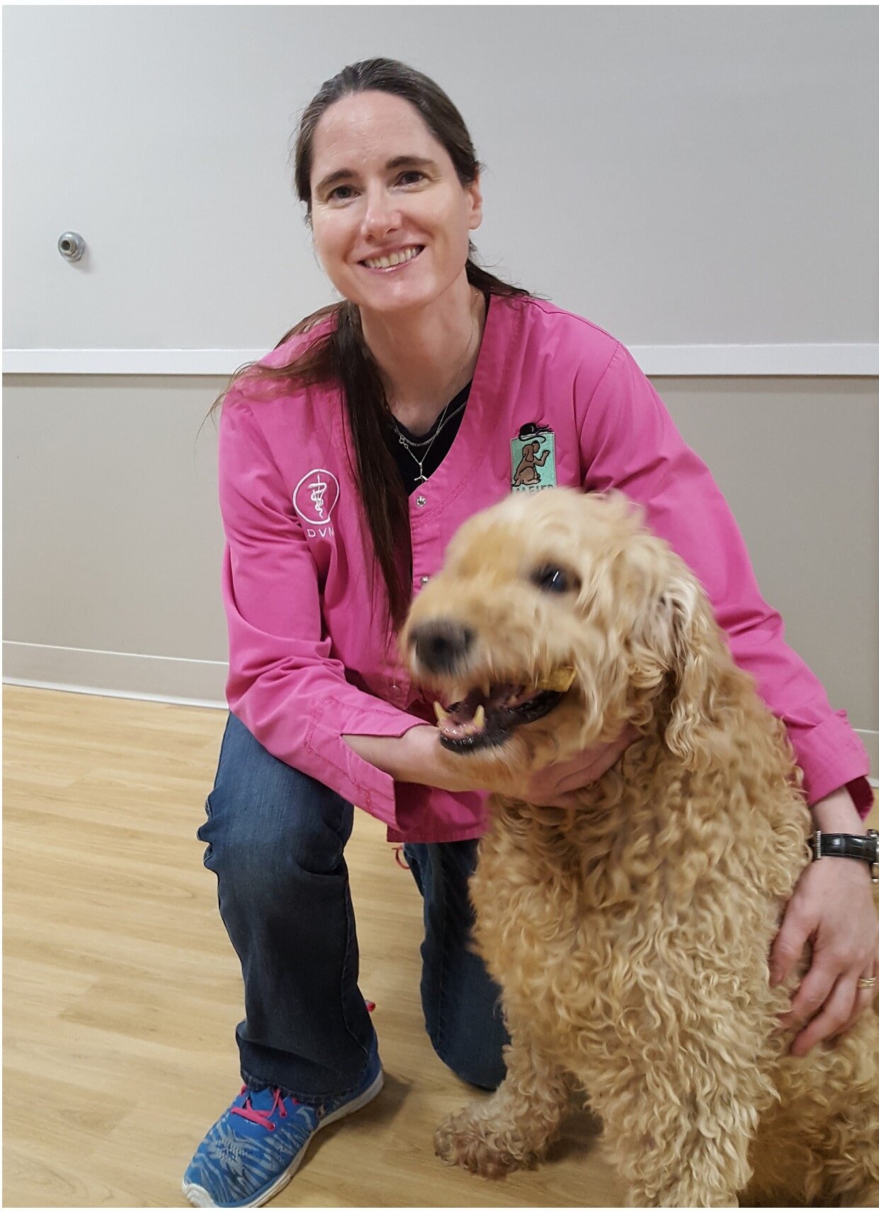 Vet Team Marion, IA Meier Veterinary Clinic