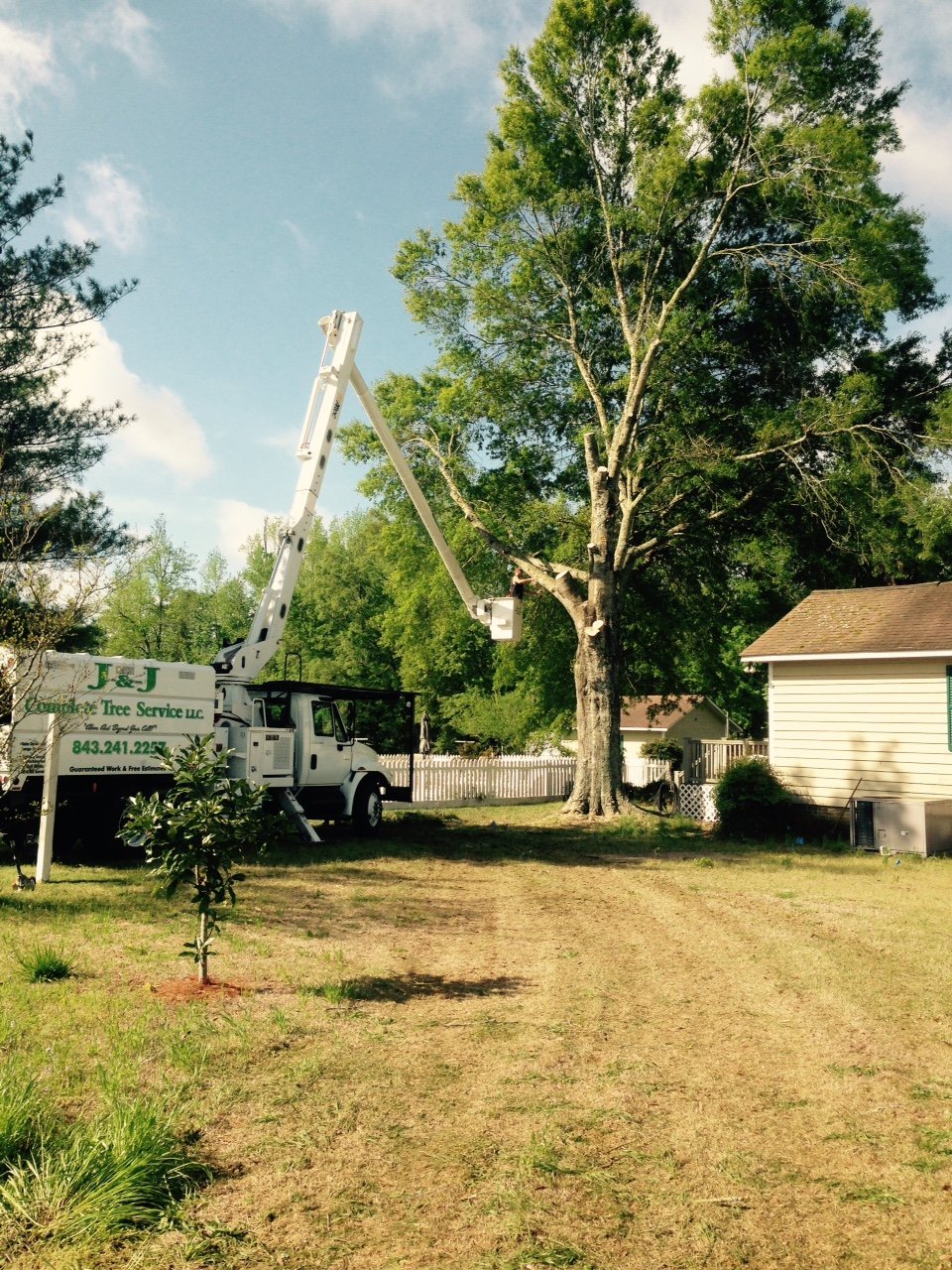 Conway Tree Trimming J & J Complete Tree Service