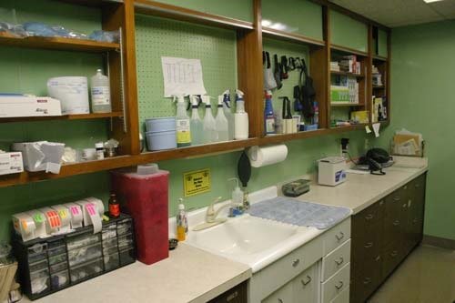 Virtual Tour Fairview Heights Animal Clinic Animal