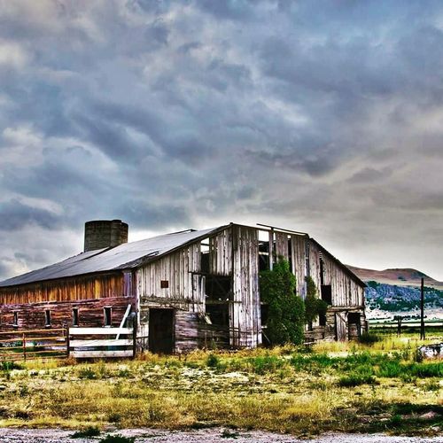 Barn DeConstruction Salt Lake City, UT Got Old Wood Co.