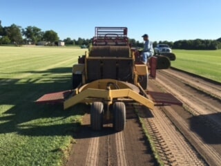 Sod farm harrisonville mo
