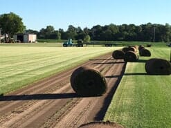Sod farm harrisonville mo