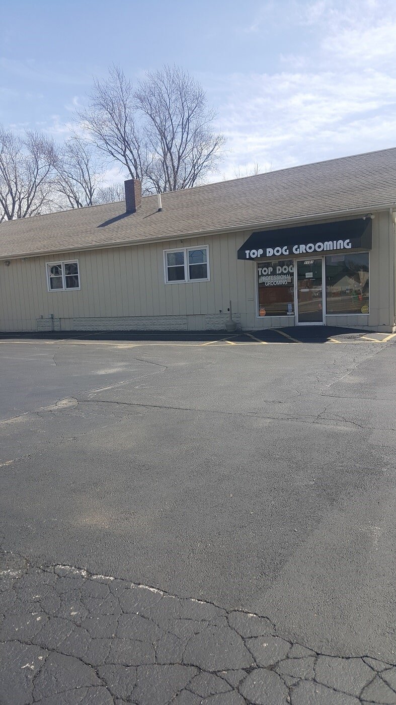Groomers Bloomington, IL Top Dog Grooming Salon