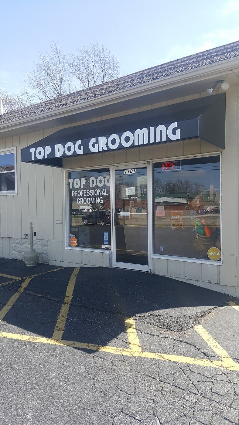 Groomers Bloomington, IL Top Dog Grooming Salon