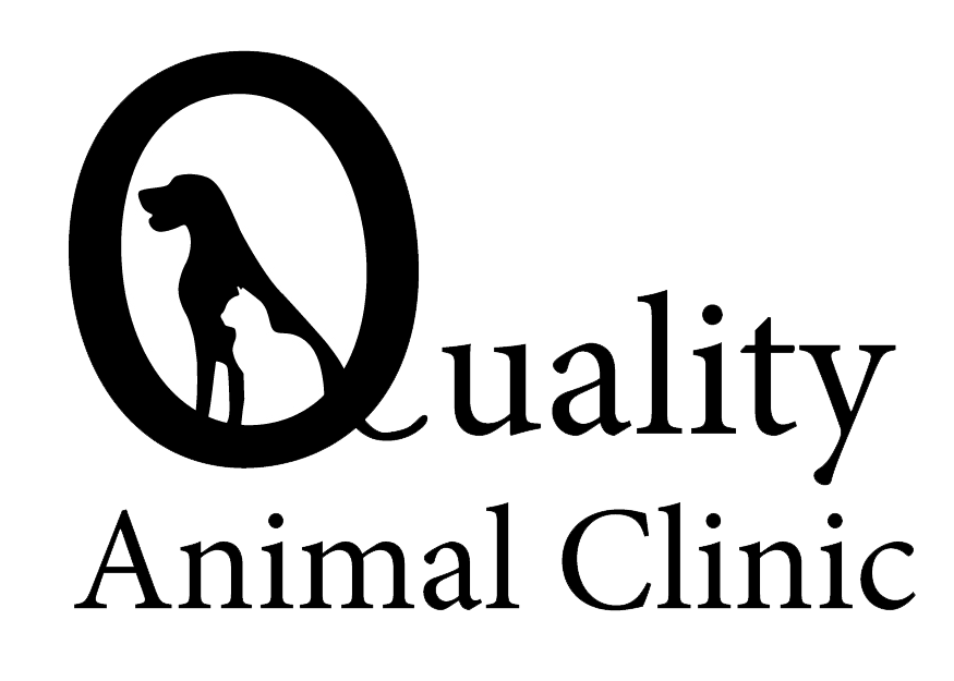 Full Preventative Pet Care Los Angeles, CA Quality Animal Clinic