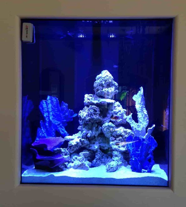 saltwater aquariums Edmond, Oklahoma Aqualife Aquarium Systems
