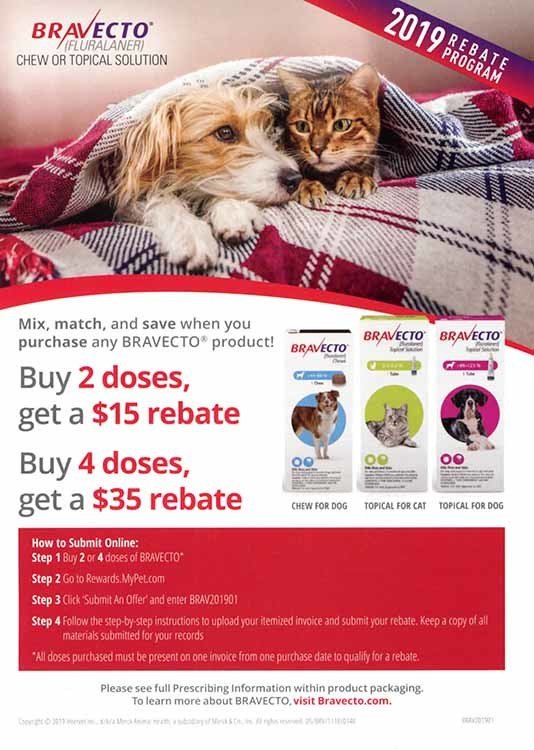 Spaying, Neutering, Pet Supplies Corinth, NY Corinth Veterinary Clinic