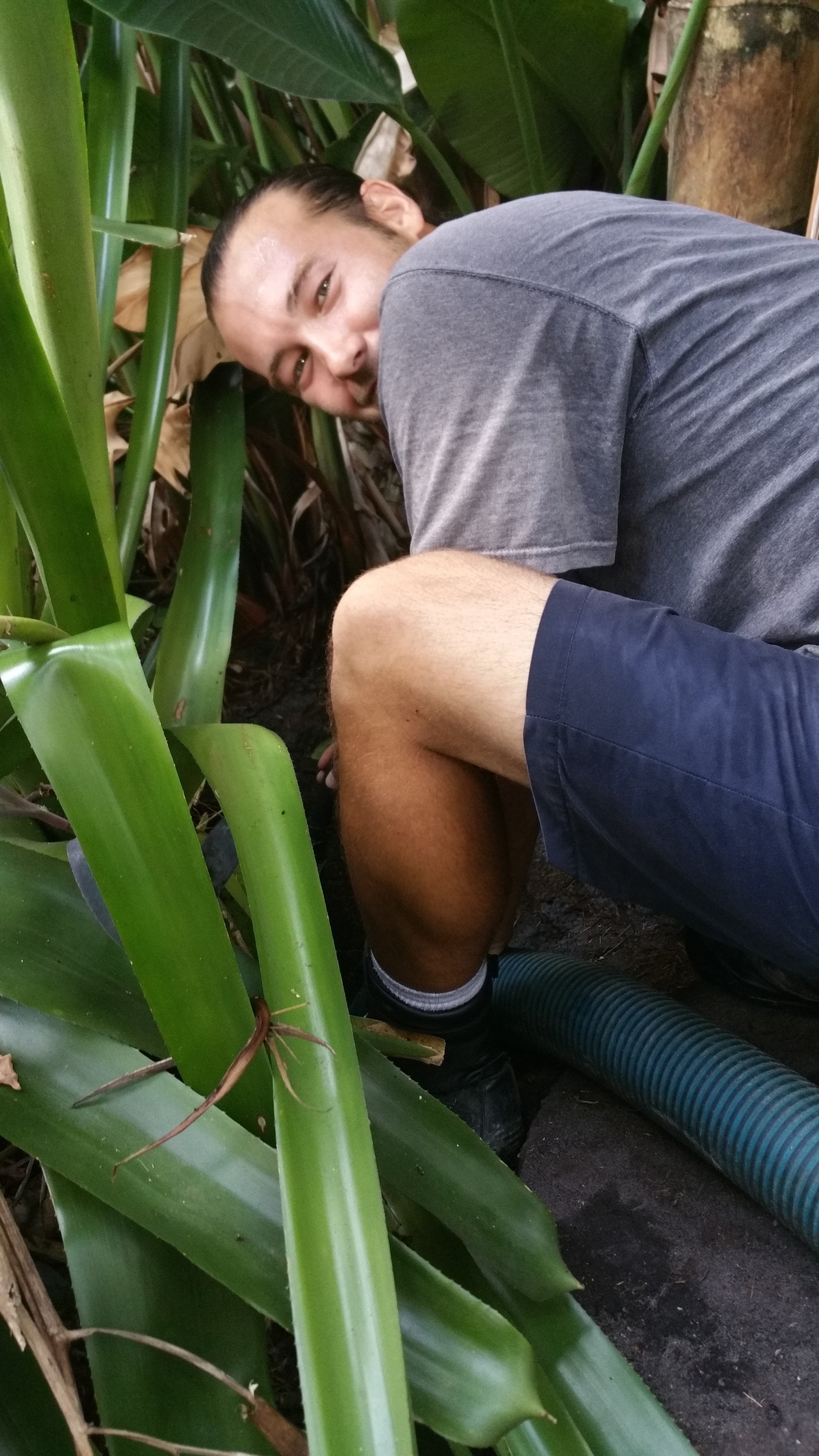 About Waters Septic Tank Service, Inc. Sarasota, FL Waters Septic