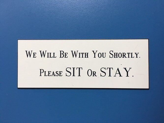 Animal Lab Testing Paxton, MA Paxton Animal Hospital