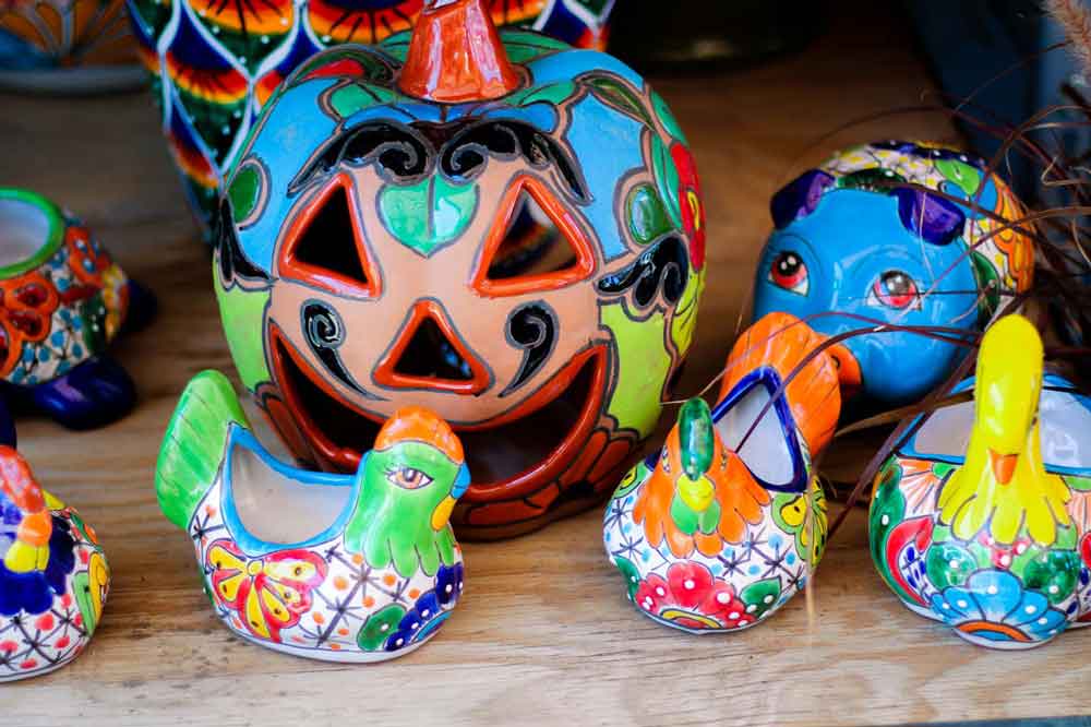 Blooms Albuquerque,NM Rehm's Nursery and Garden Center