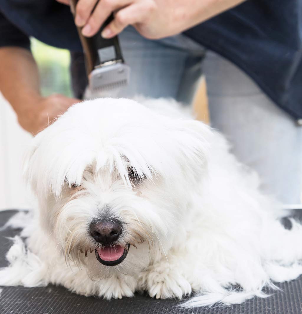 Power Tool Sharpening Albuquerque, NM Precision Sharpening Inc