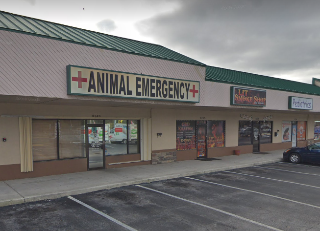 animal hospital after hours