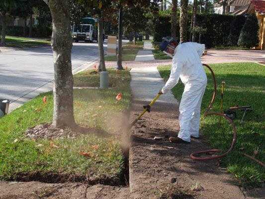 services Tampa, FL Independent Tree Service, Inc.