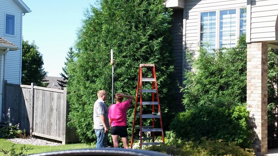 Tree and shrub service East Grand Forks, MN FertLLawn Lawn and Tree Services
