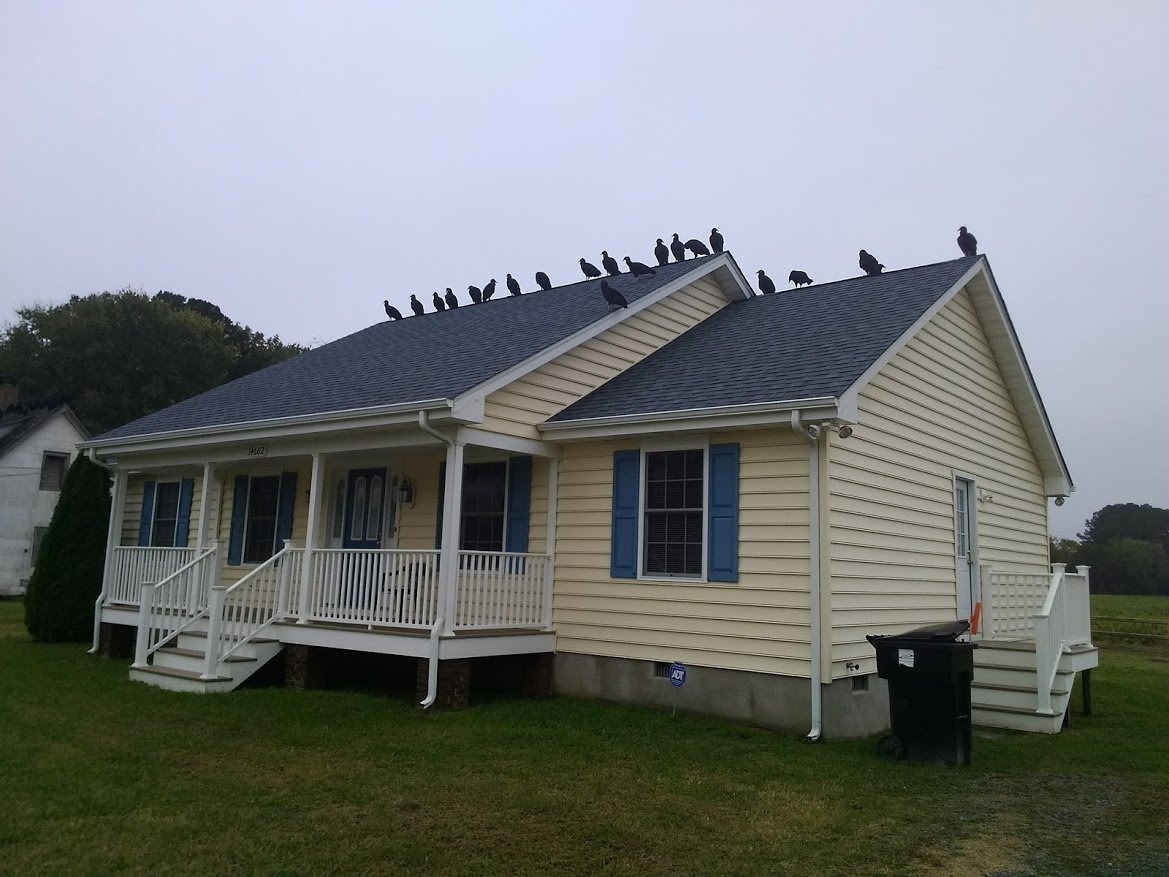 Residential Belle Haven, VA Eastern Shore Home Crafters