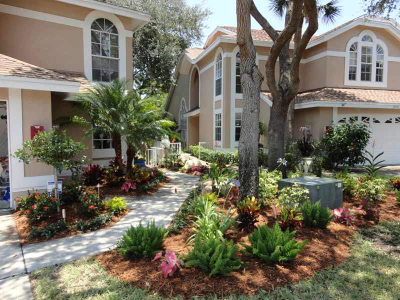 Landscaping and Nursery Gallery Clearwater, Florida Eden Nursery