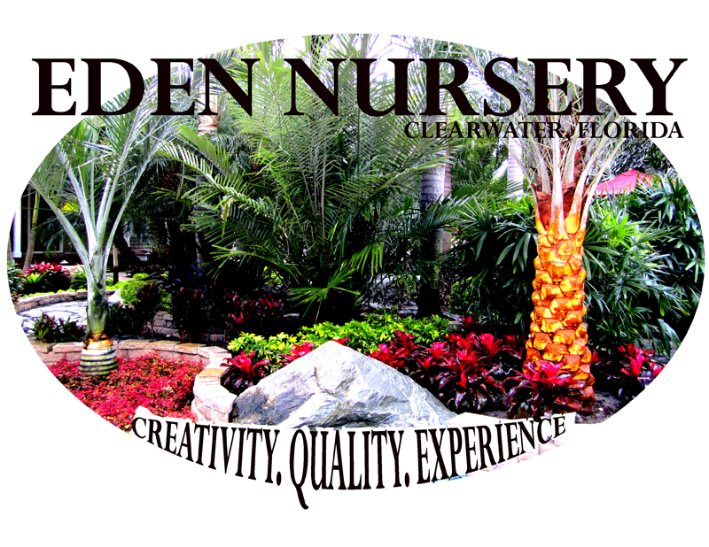 Landscaping and Nursery Gallery Clearwater, Florida Eden Nursery