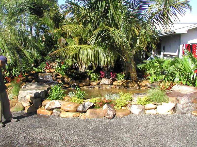 Landscaping and Nursery Gallery Clearwater, Florida Eden Nursery