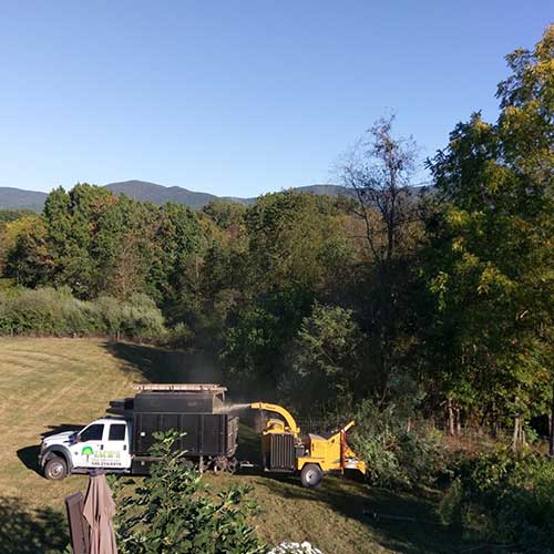 Tree removal Sperryville, VA Zach's Tree Service
