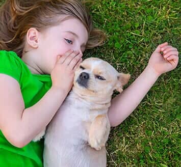 mouse hunter cat toy