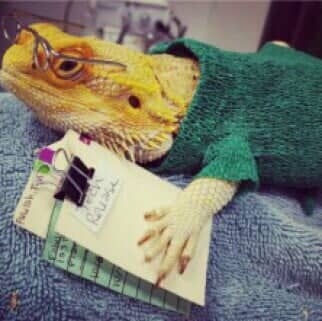 parker bird and animal clinic