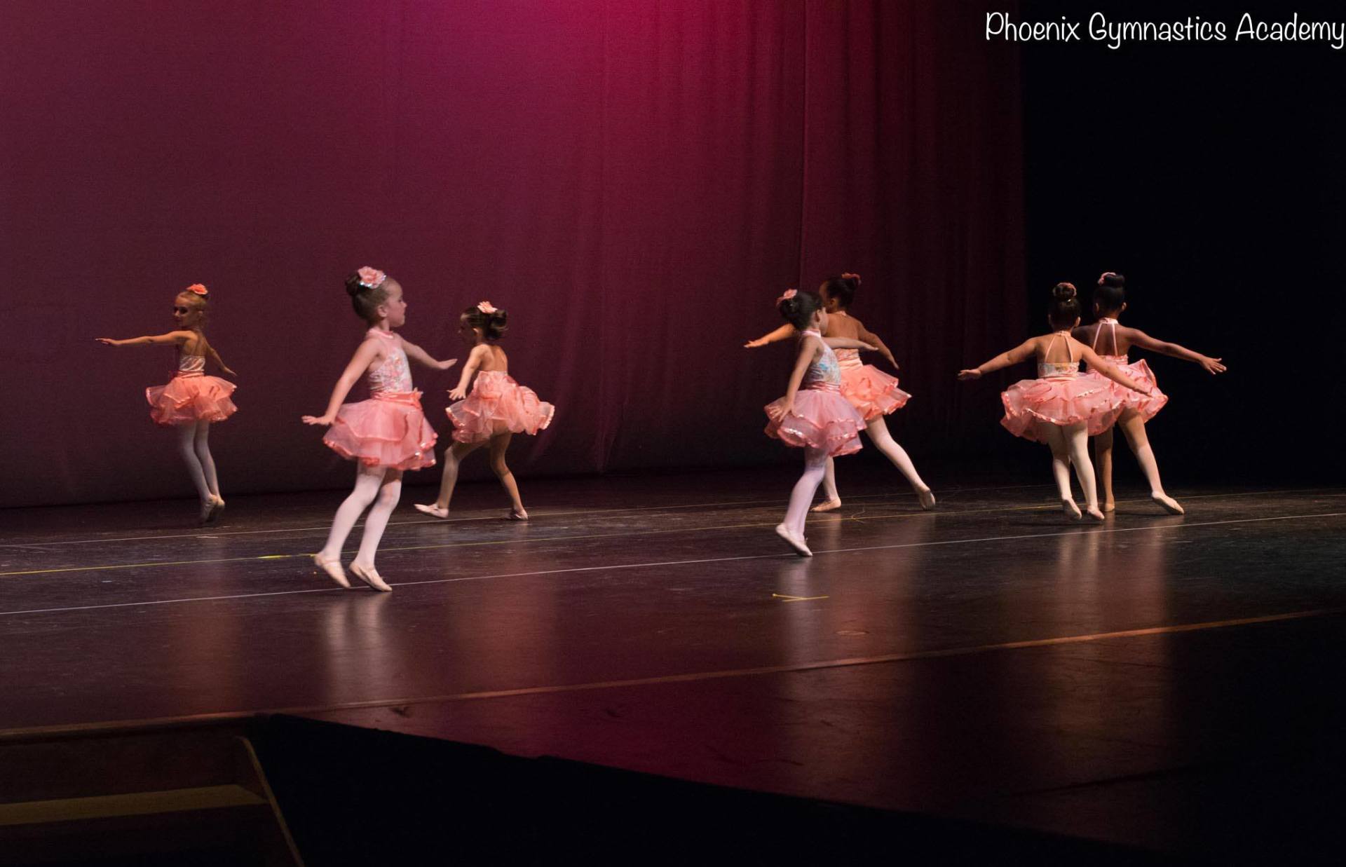 Gymnastics Party Phoenix, AZ Phoenix Gymnastics Academy