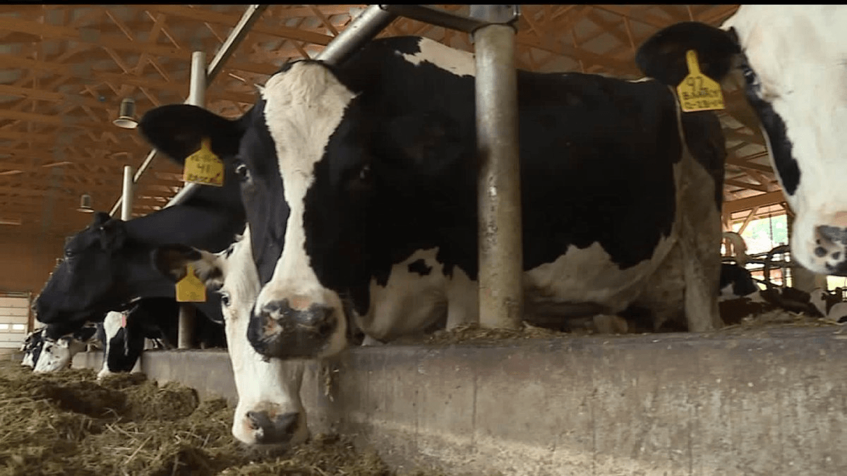 Local Dairy Farm York, PA Perrydell Farm Dairy