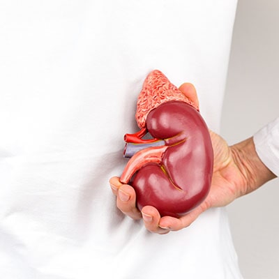 Chest X-ray - Internal Medicine in Northeast, IL