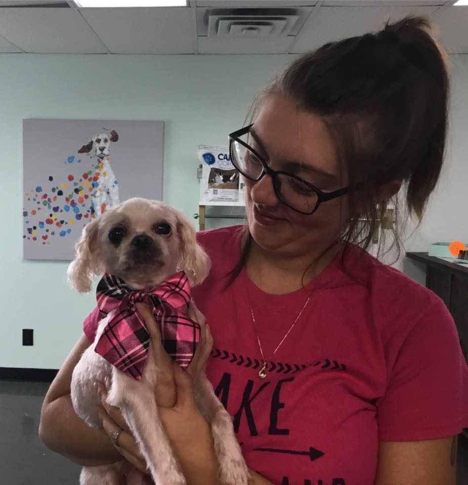 Dog Grooming Lexington, KY Happy Hounds Grooming LLC