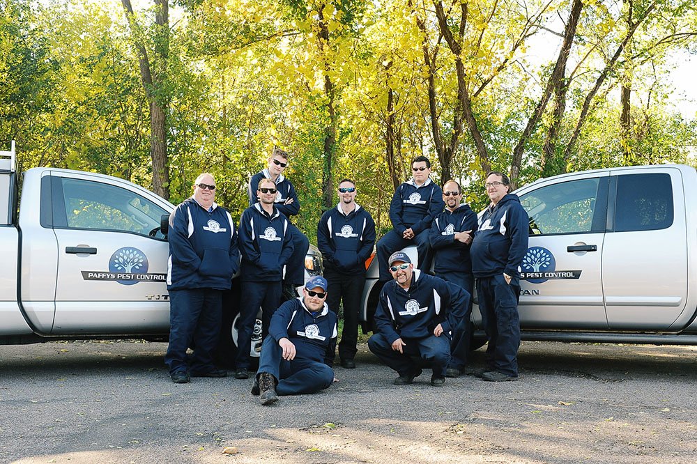 exterminator pest control — Pest Free Home” in St. Paul Park, MN