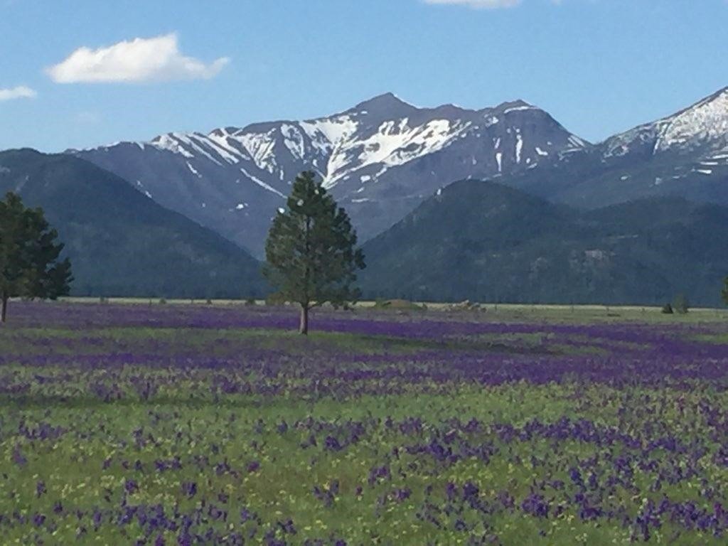 Personal Injury Attorney Great Falls, MT Charles S. Lucero, P.C