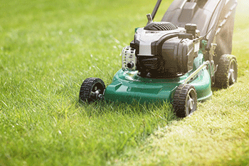 home bothell wa davy ds yard maintenance lawn and yard maintenance