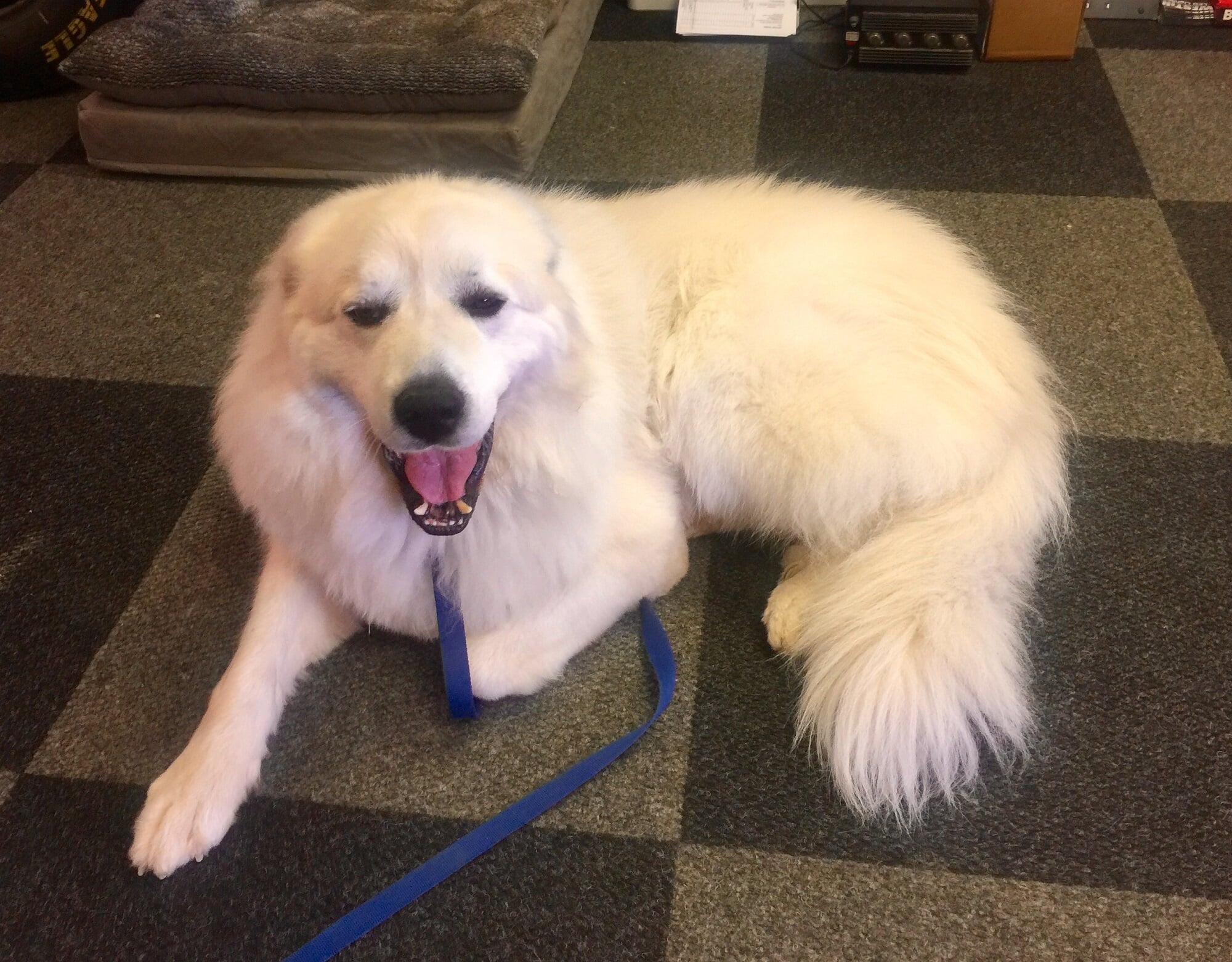 Man Cave AccessoriesMoundsville, WVAccessories Ltd.