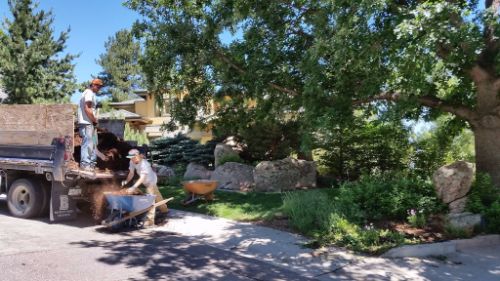 Landscaping Services Boulder Colorado Lawns Tree Clean Up Services Boulder Lawns In Co