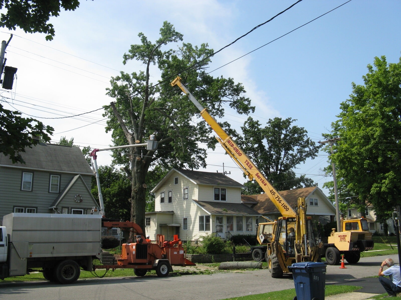 Tree Removal & Trimming Mansfield, OH Mid Ohio Tree Service