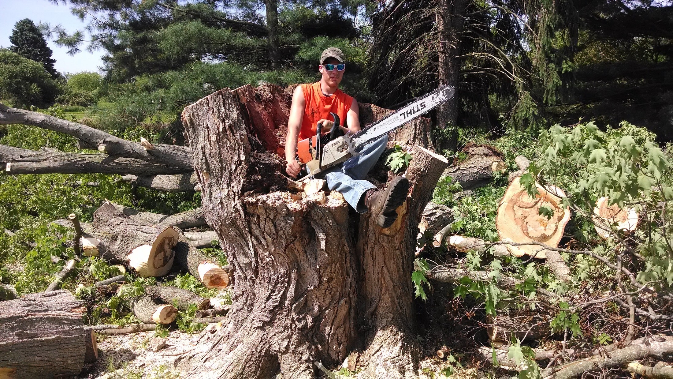 Tree Removal & Trimming Mansfield, OH Mid Ohio Tree Service