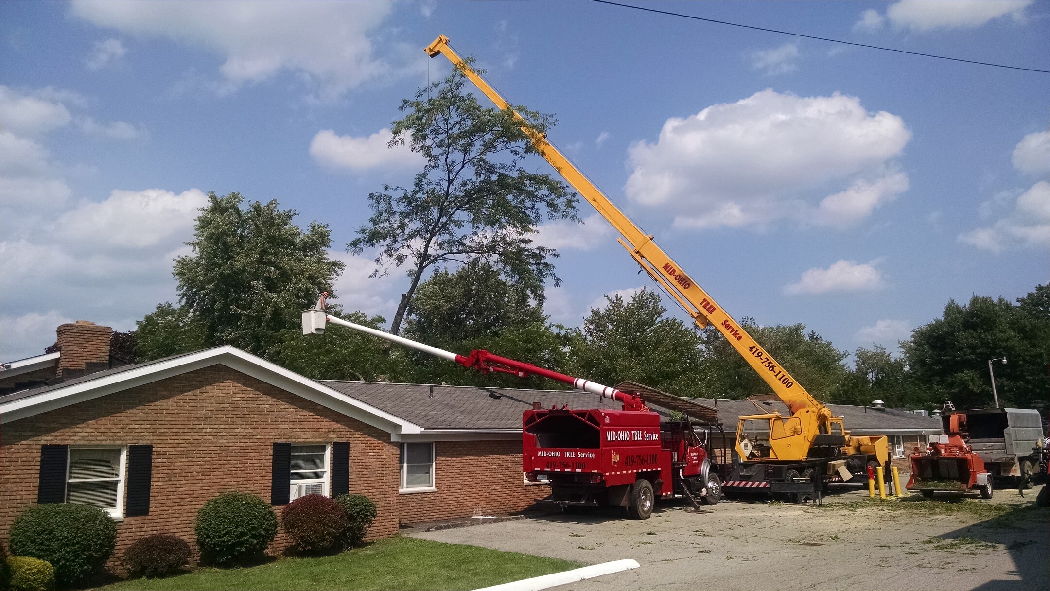 Tree Removal & Trimming Mansfield, OH Mid Ohio Tree Service