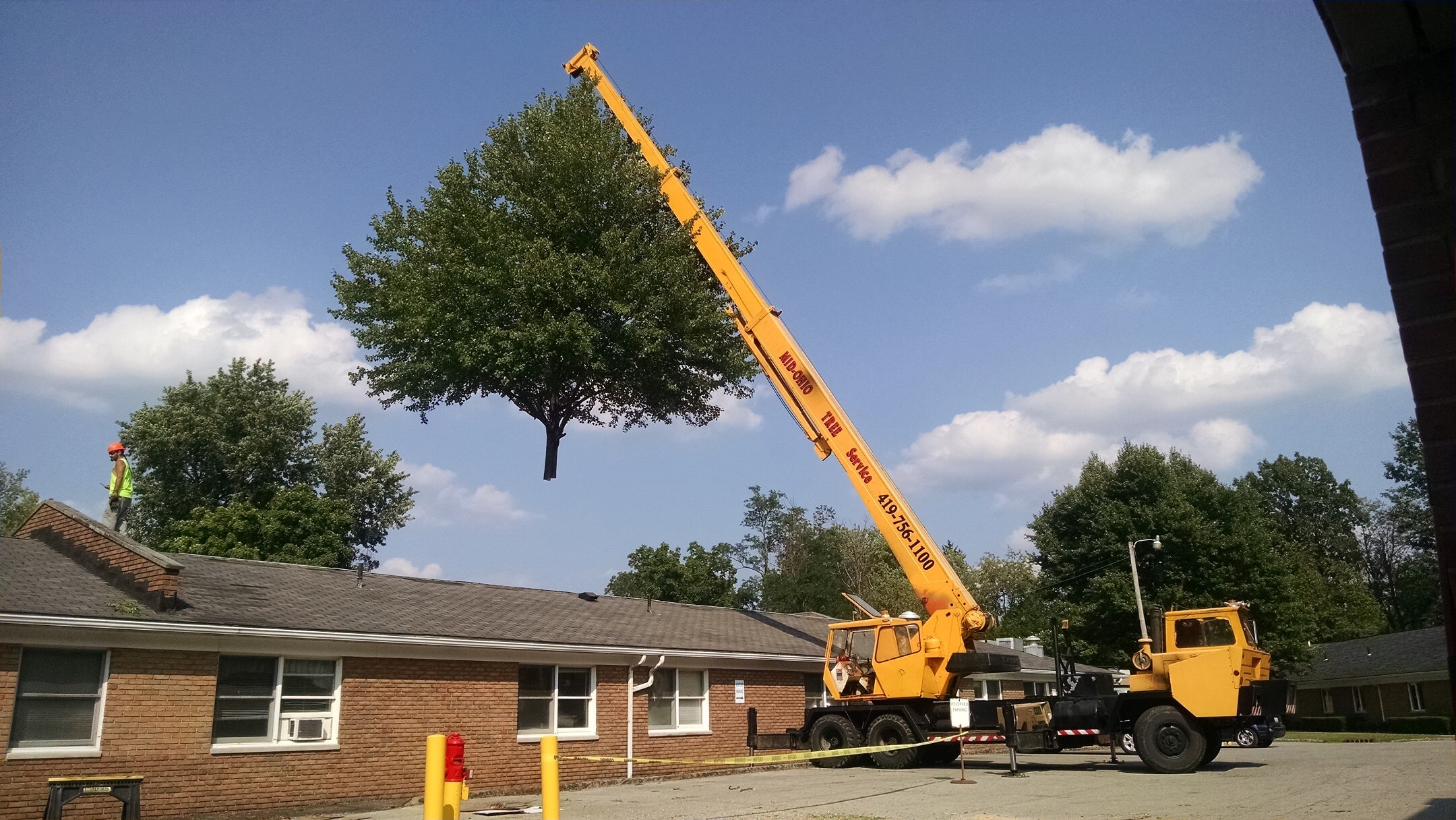 Tree Removal & Trimming Mansfield, OH Mid Ohio Tree Service