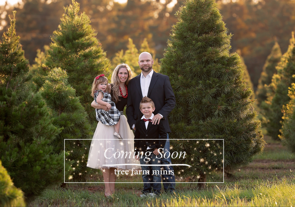 Tree Farm Minis Houston Pearland Texas Child Family Holiday Photographer