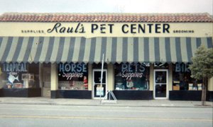 Dog Bathing | Raul&rsquo;s Grooming Center | Redwood City, California