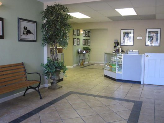 Raul's Grooming Center