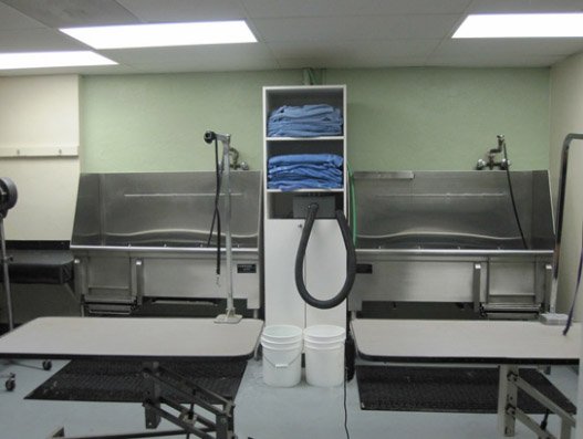 Raul's Grooming Center