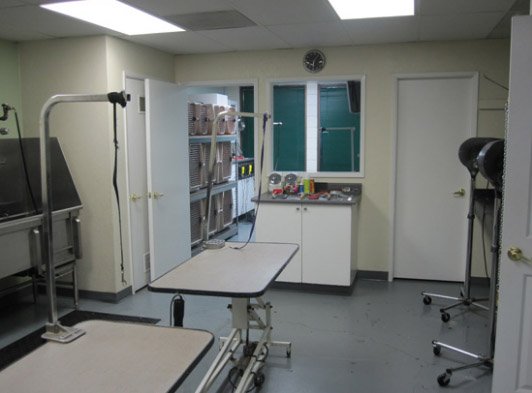 Raul's Grooming Center