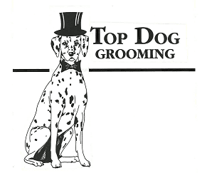 top dog grooming